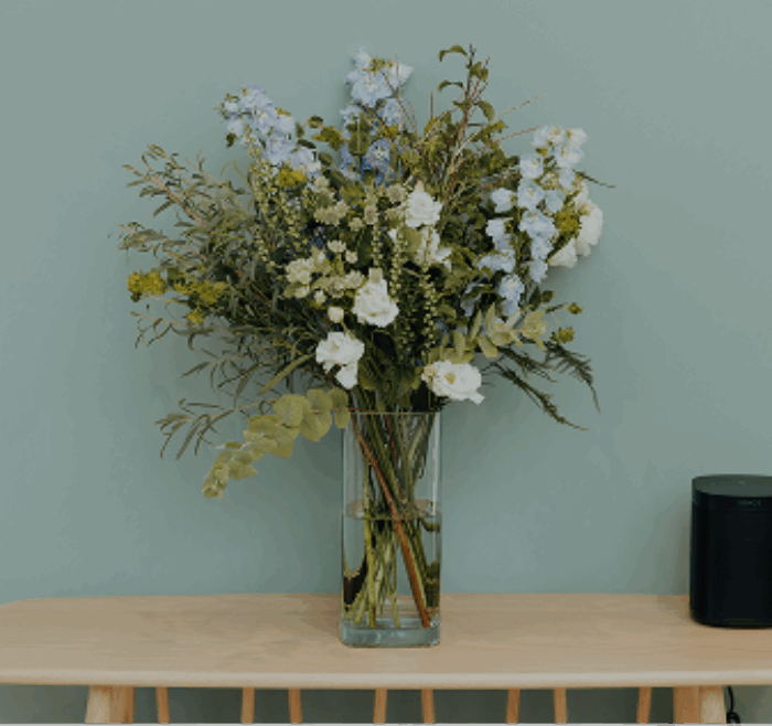 The Observatory Dental