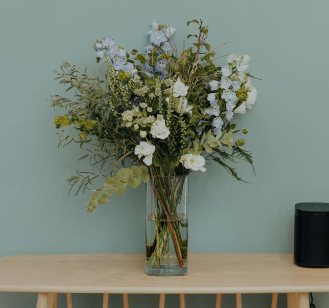 The Observatory Dental