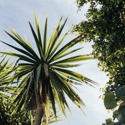  The Observatory Dental Practice