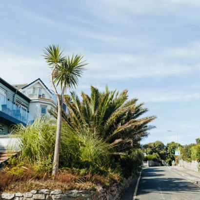  The Observatory Dental Practice